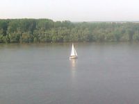 Zemunski kej i Gardoš - slika 3