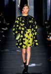 Diane Von Furstenberg- jesen/zima 2012.-2013. - slika 4
