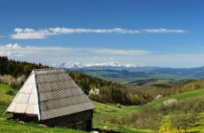 Zlatar  - slika 1