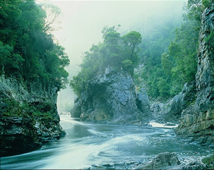 Jutarnja magla