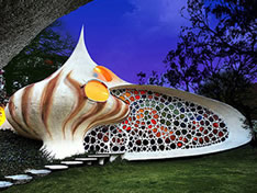 Nautilus