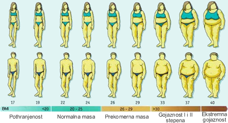 BMI skala