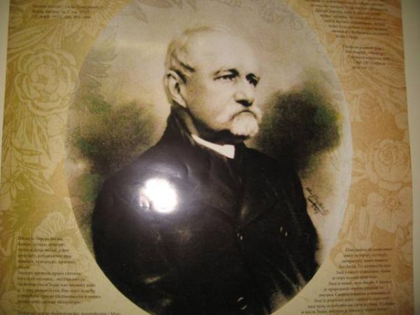 Bildung - Jovan Jovanović Zmaj