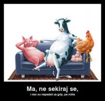 Aflatoksin