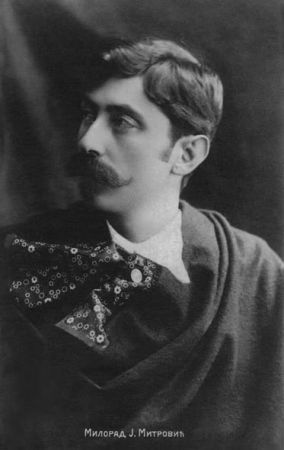 Svinja reformator - Milorad Mitrović