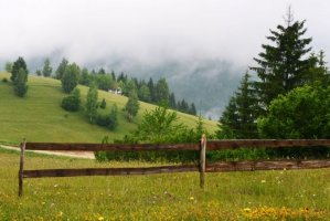 Zlatar 
