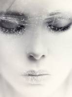 Vatra i led - Robert Frost 