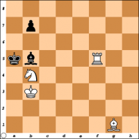  Šahovski problem br. 31