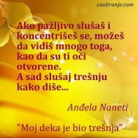 Moj deka je bio trešnja - Anđela Naneti