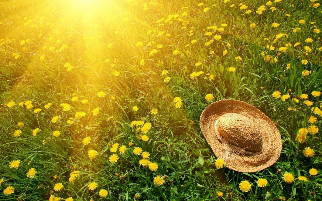 Bliži se, bliži leto - Desanka Maksimović